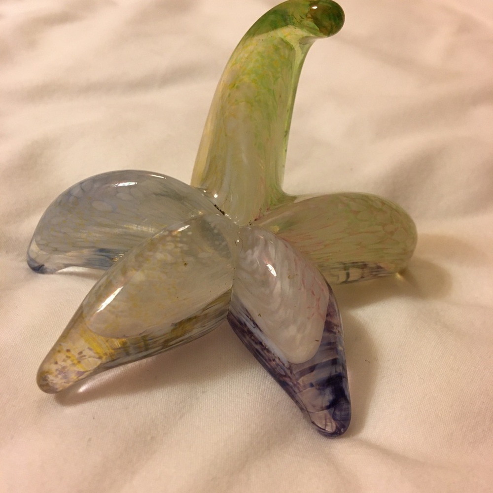 Glass starfish
